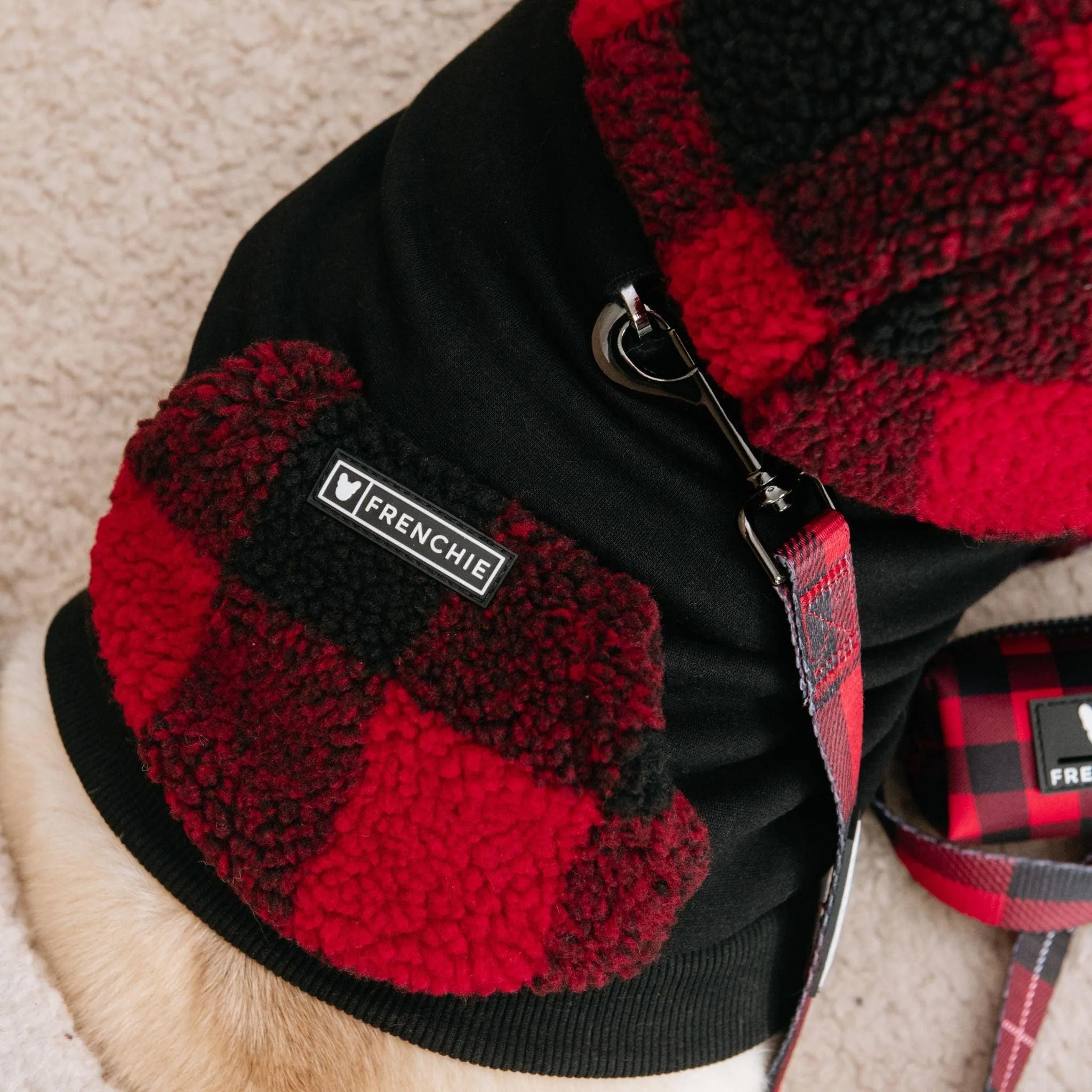 Frenchie Dog Hoodie - Red and Black Plaid