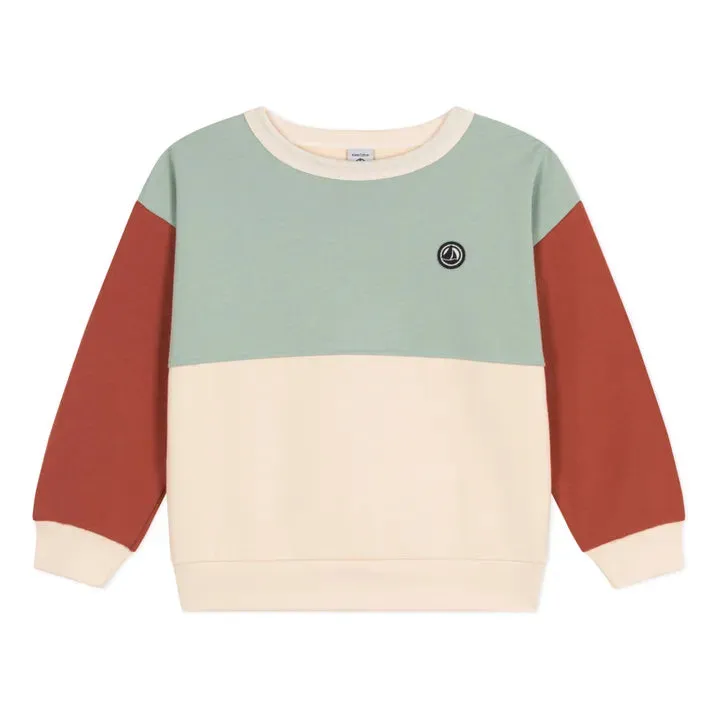 Petit Bateau boys colorbock sweatshirt